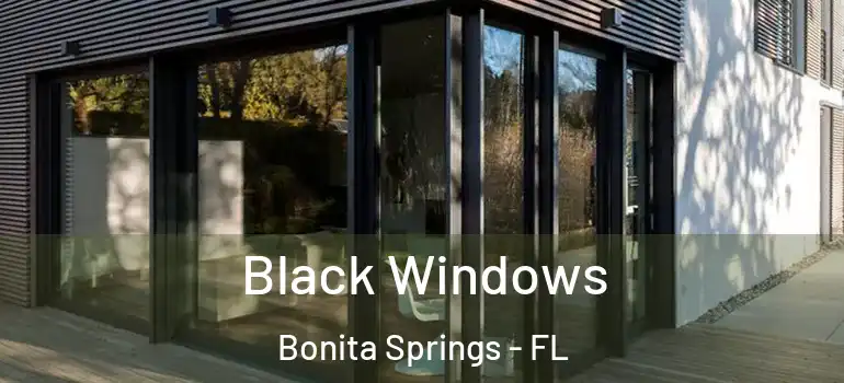  Black Windows Bonita Springs - FL