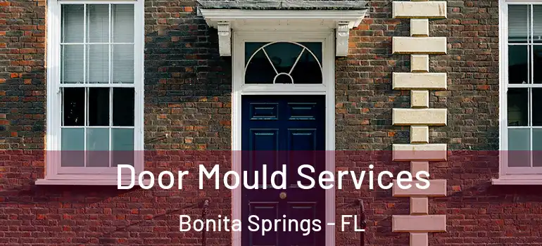  Door Mould Services Bonita Springs - FL