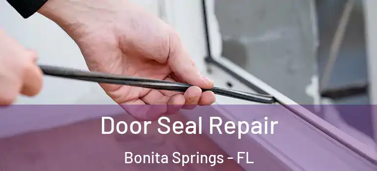  Door Seal Repair Bonita Springs - FL