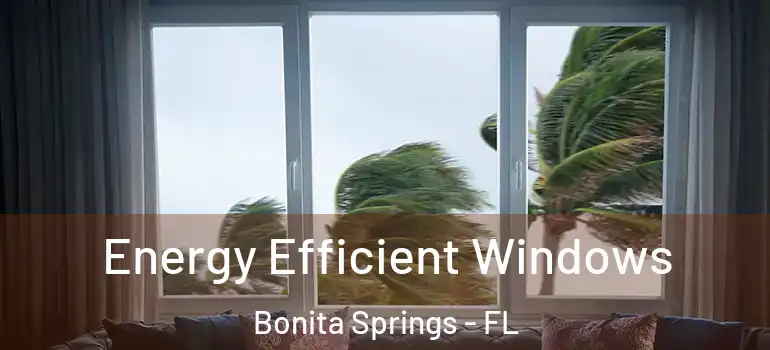  Energy Efficient Windows Bonita Springs - FL
