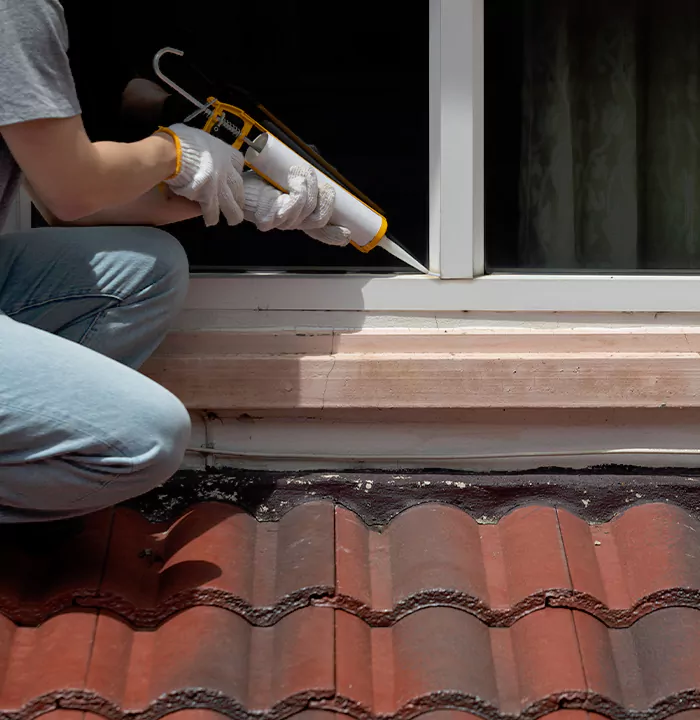 Roof Window Services in Bonita Springs, Florida