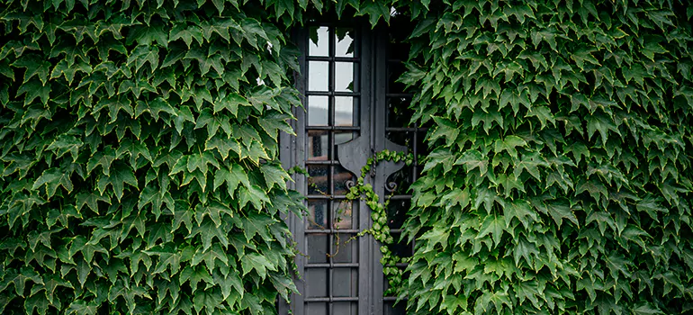 Garden Gate Repair in Bonita Springs, FL