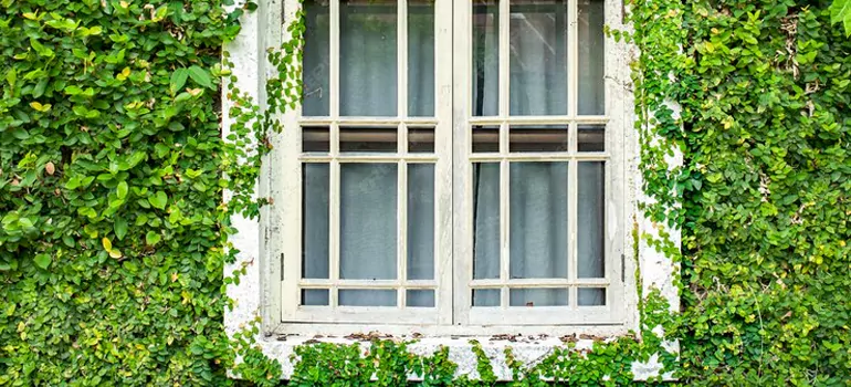 Garden Window Repair Near Me in Bonita Springs, FL