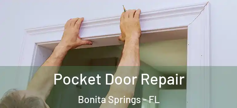  Pocket Door Repair Bonita Springs - FL
