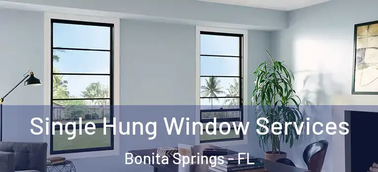  Single Hung Window Services Bonita Springs - FL
