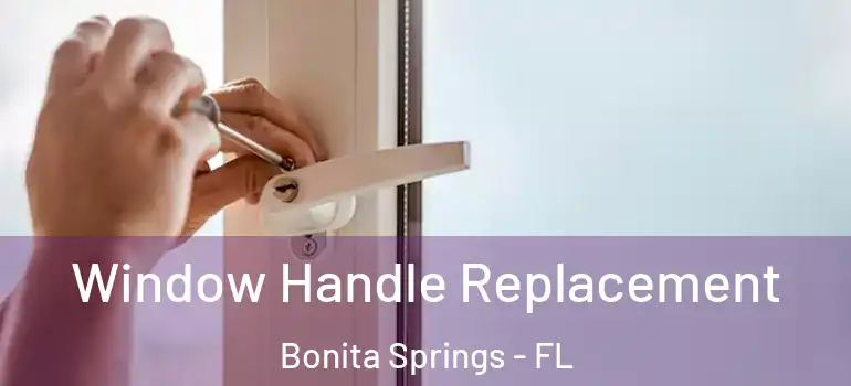  Window Handle Replacement Bonita Springs - FL