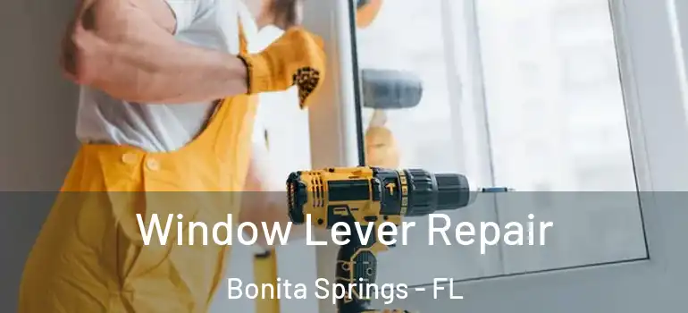  Window Lever Repair Bonita Springs - FL