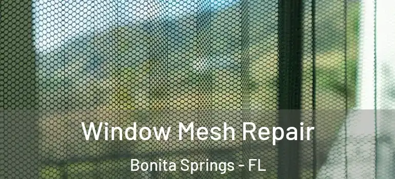  Window Mesh Repair Bonita Springs - FL