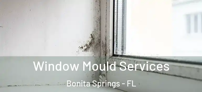  Window Mould Services Bonita Springs - FL